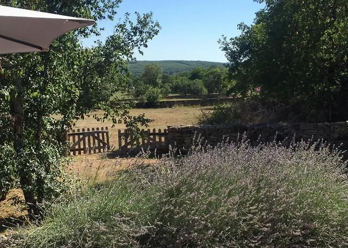 Semesterbostad Tiny House &